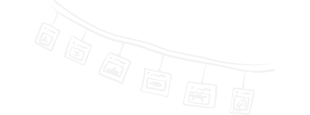 Kontentino social management tool